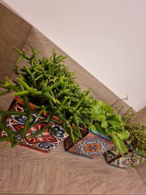 Ellis Apartment Ateny Zewnętrze zdjęcie
